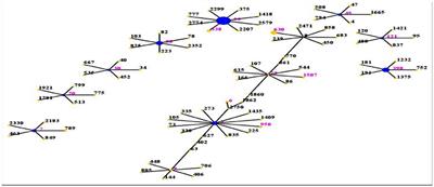 Molecular Characteristic and Virulence Gene Profiles of Community-Associated Methicillin-Resistant Staphylococcus aureus Isolates from Pediatric Patients in Shanghai, China